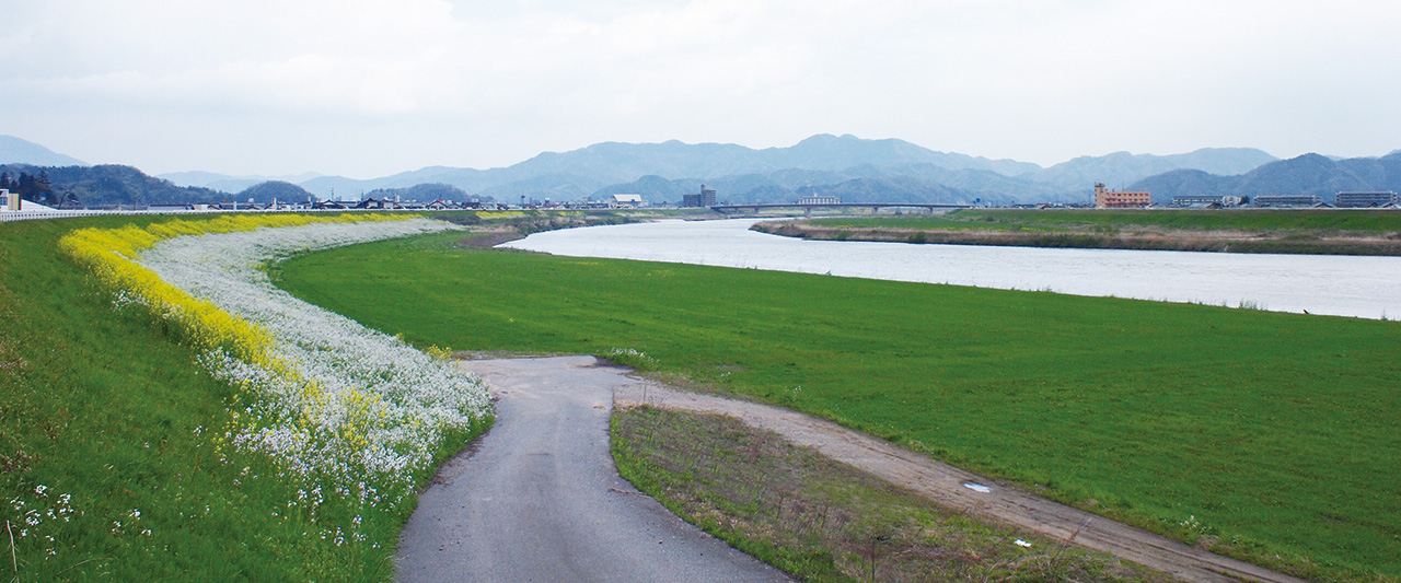 円山川風景