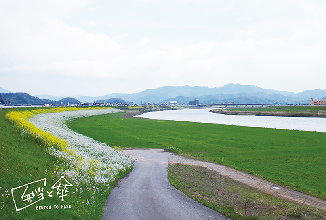 円山川風景